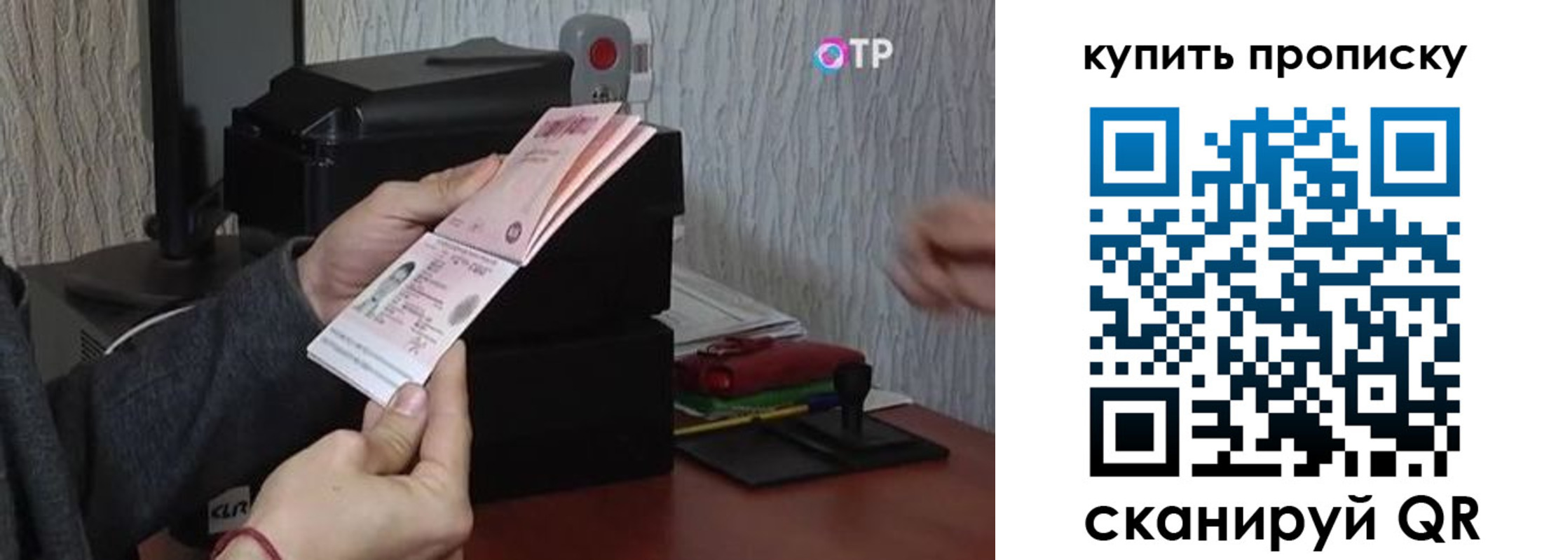 прописка гарантия в Шарье
